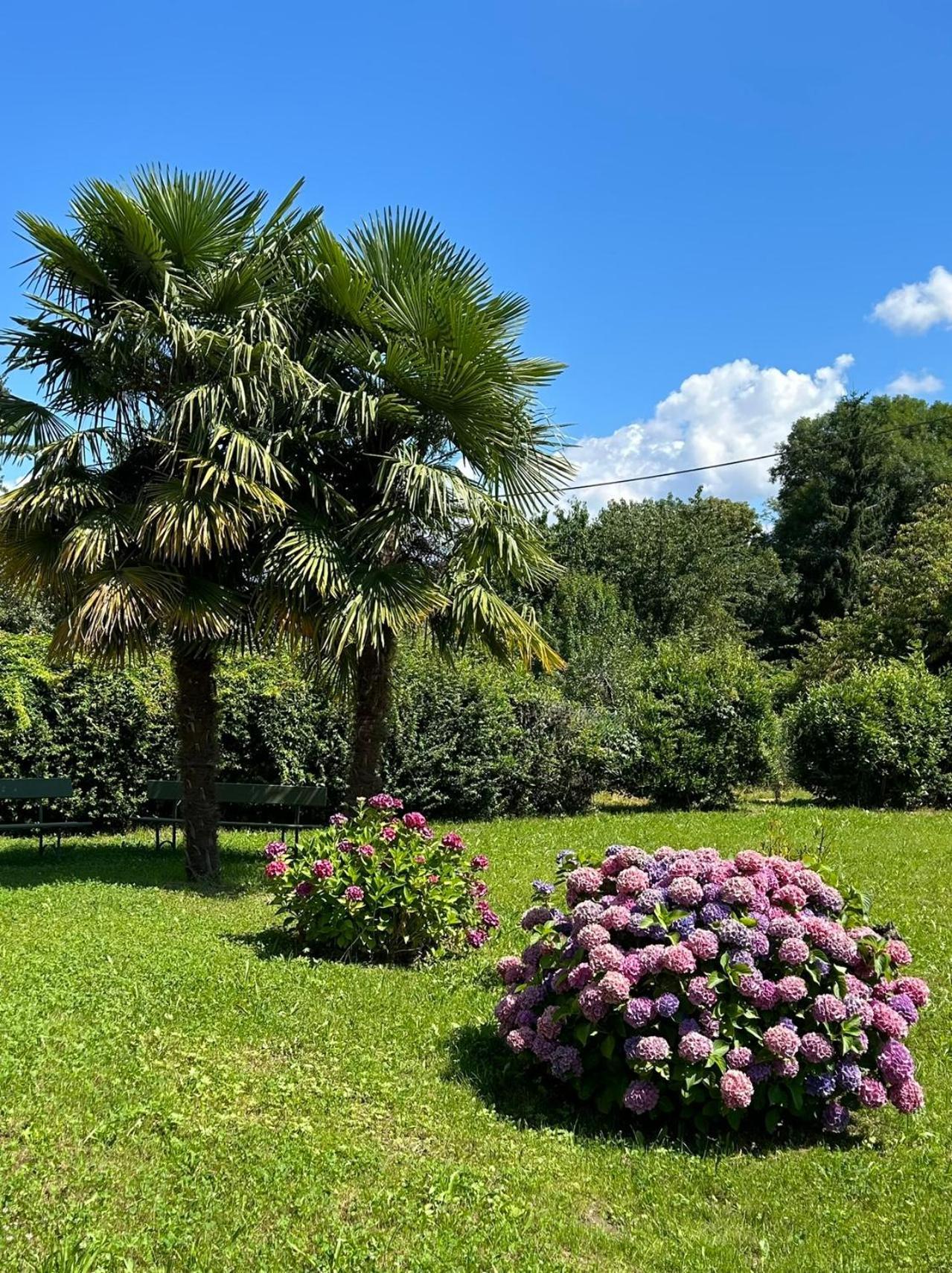 Villa Agnona Camere بورغوسيسيا المظهر الخارجي الصورة